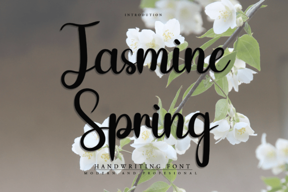 Jasmine Spring: A Friendly Handwritten Font for Campaign Visuals