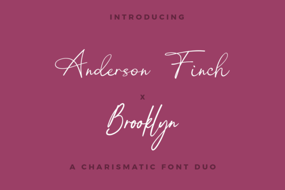 The Anderson Finch X Brooklyn Duo Fonts for Creative Projects