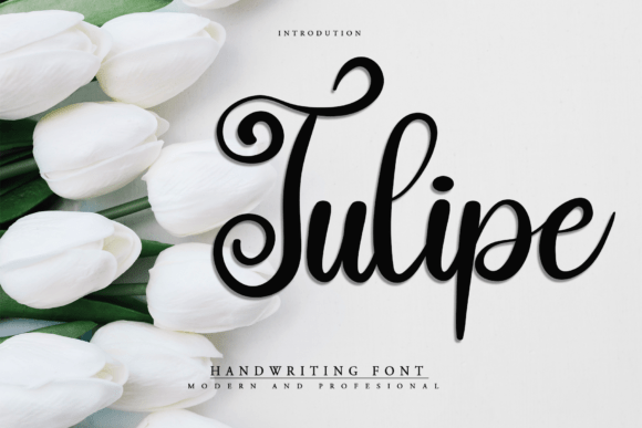 Tulipe Font: A Handwritten Design Tool for Campaign Creators